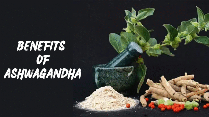 Benefits of Ashwagandha